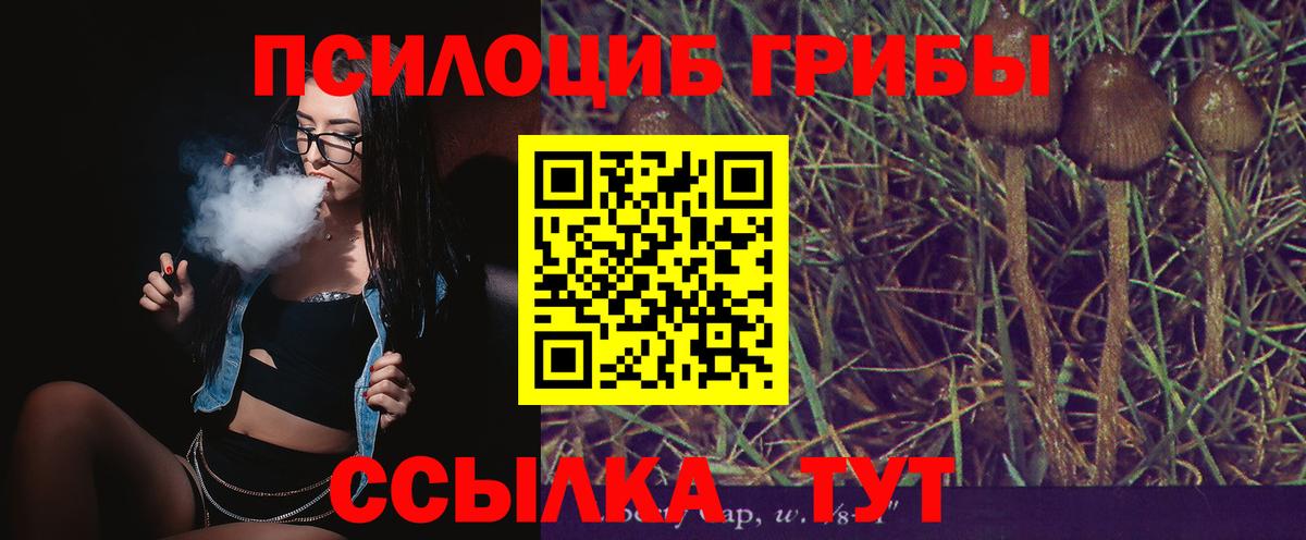 Фролово  Псилоцибиновые грибы Magic Shrooms  купить   Вход с VPN 